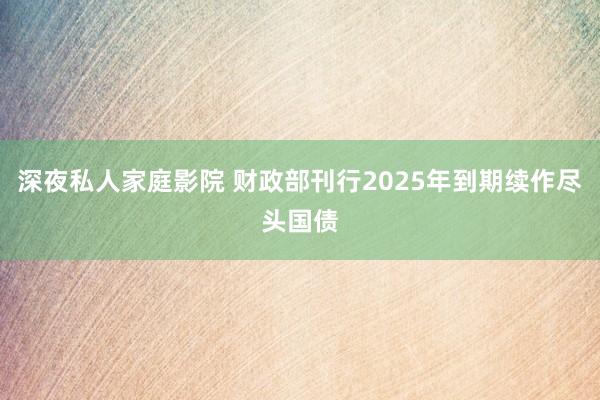 深夜私人家庭影院 财政部刊行2025年到期续作尽头国债